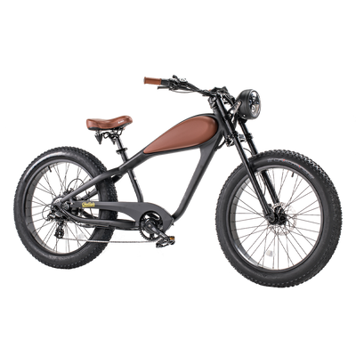 Revi Bikes Cheetah 48V 750W Hub Motor Fat Tire Electric Cruiser Bike