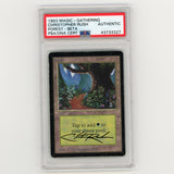 1993 Magic The Gathering Christopher Rush Forest Beta Authentic (#MW8024)